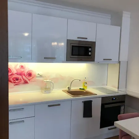 Luxurioese 2 Zimmerwohnung Mit Balkon/Spa/Pool Sunny Beach Σάνι Μπιτς